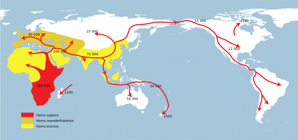 Spreading_homo_sapiens_la.svg