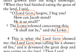 Lord_God_Amos_7_2-4_New_Oxford_Annotated
