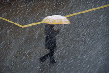 yellow, Umbrella, bad weather