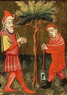 Luke Makes Jesus More Patient with the Fig Tree – Vridar