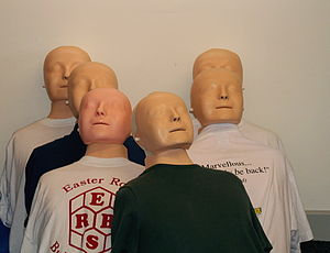 First aid training dummies.